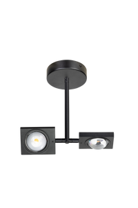 ETH Expo Trading  plafondlamp Jake 2 lichts zwart
