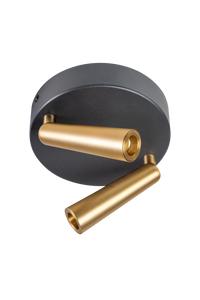 ETH Expo Trading plafondspot Barry 2-lichts zwart messing